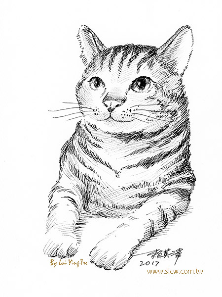 Tabby Cat 虎斑貓_賴英澤 繪